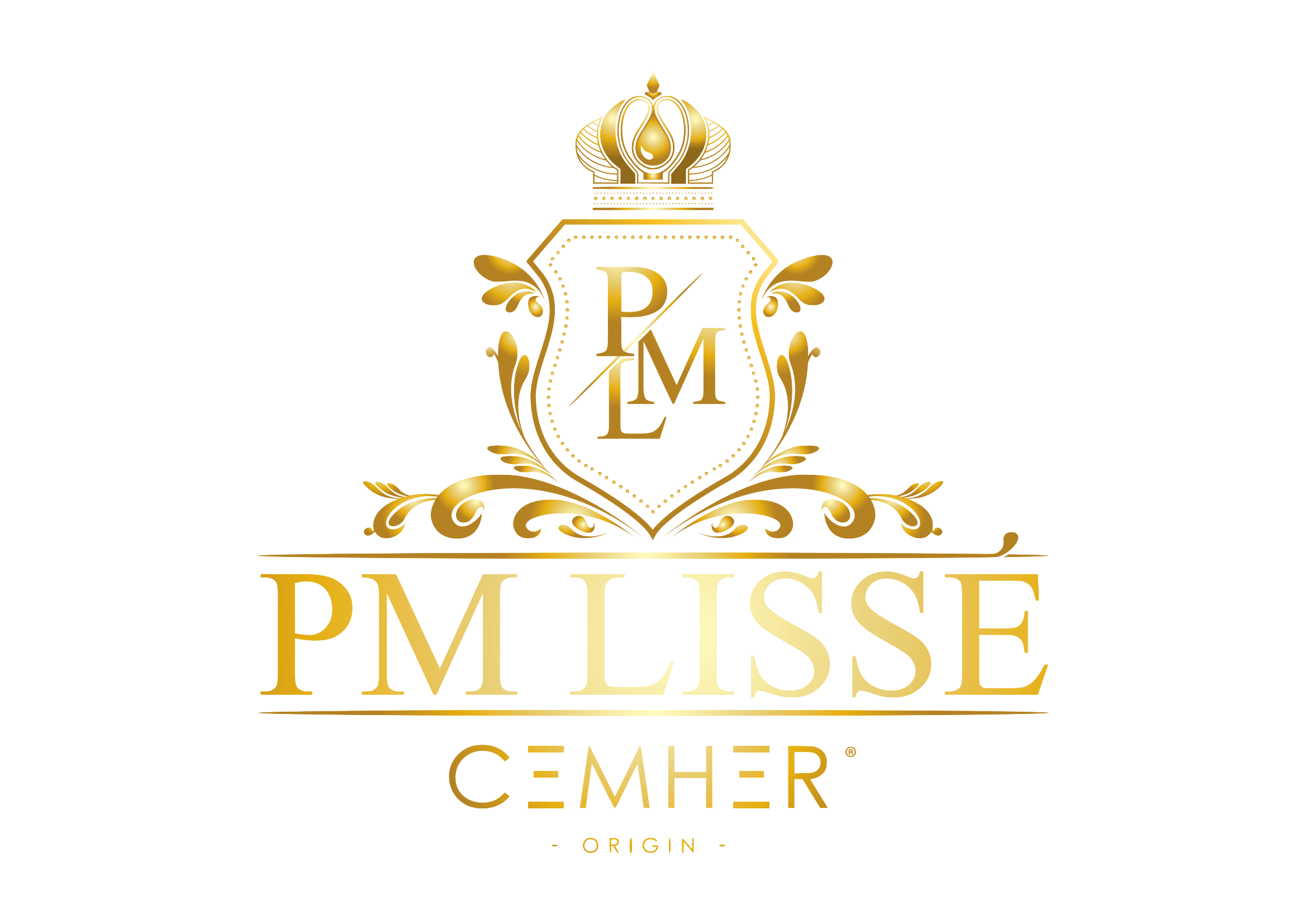 Samenwerking VIEV DESING PM Lisse logo